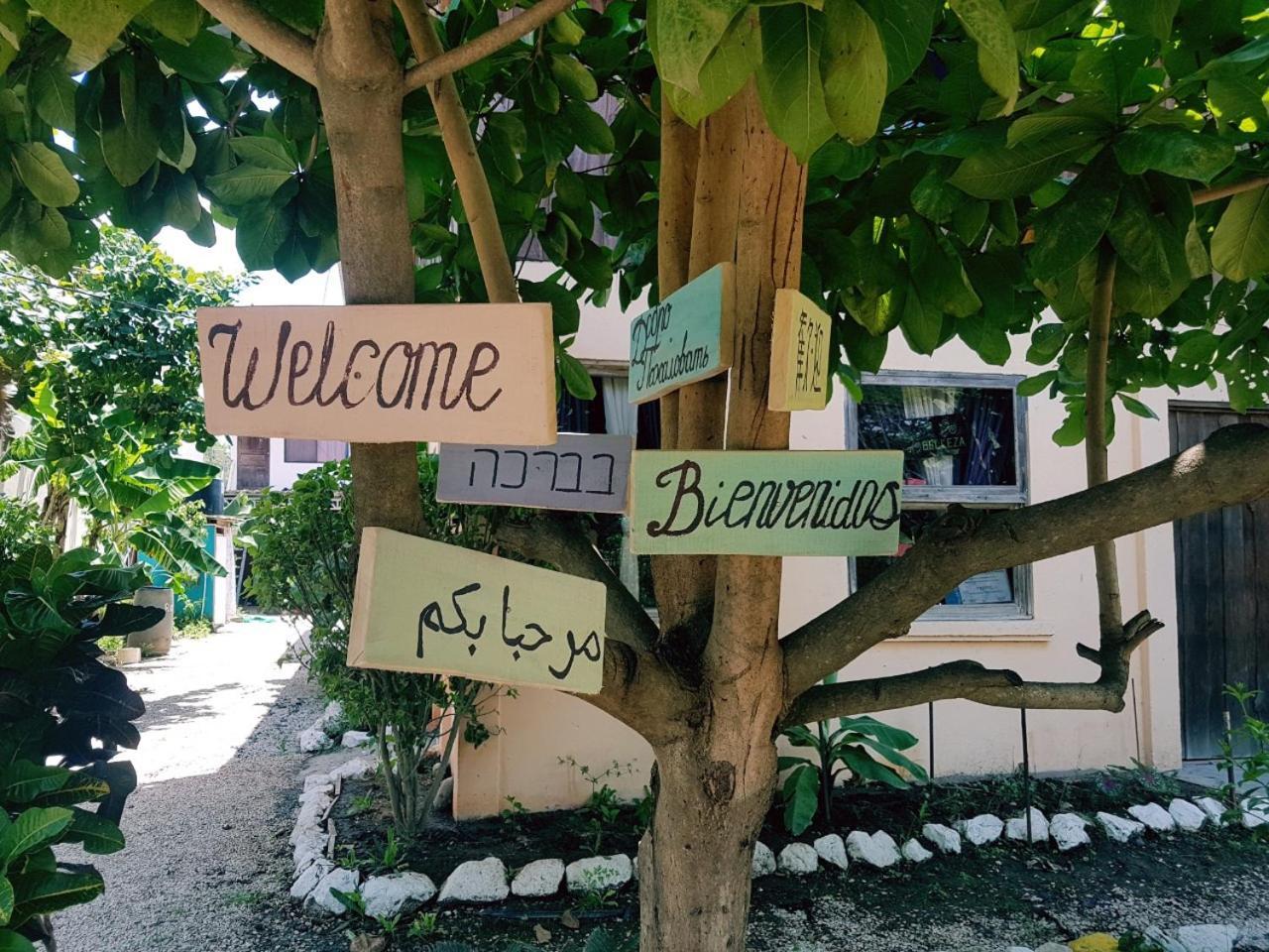 Hostel Marisol Sámara Kültér fotó